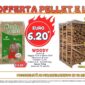 legna_pellet_apr26_sito