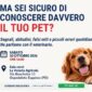 corso_pet_ott26_news